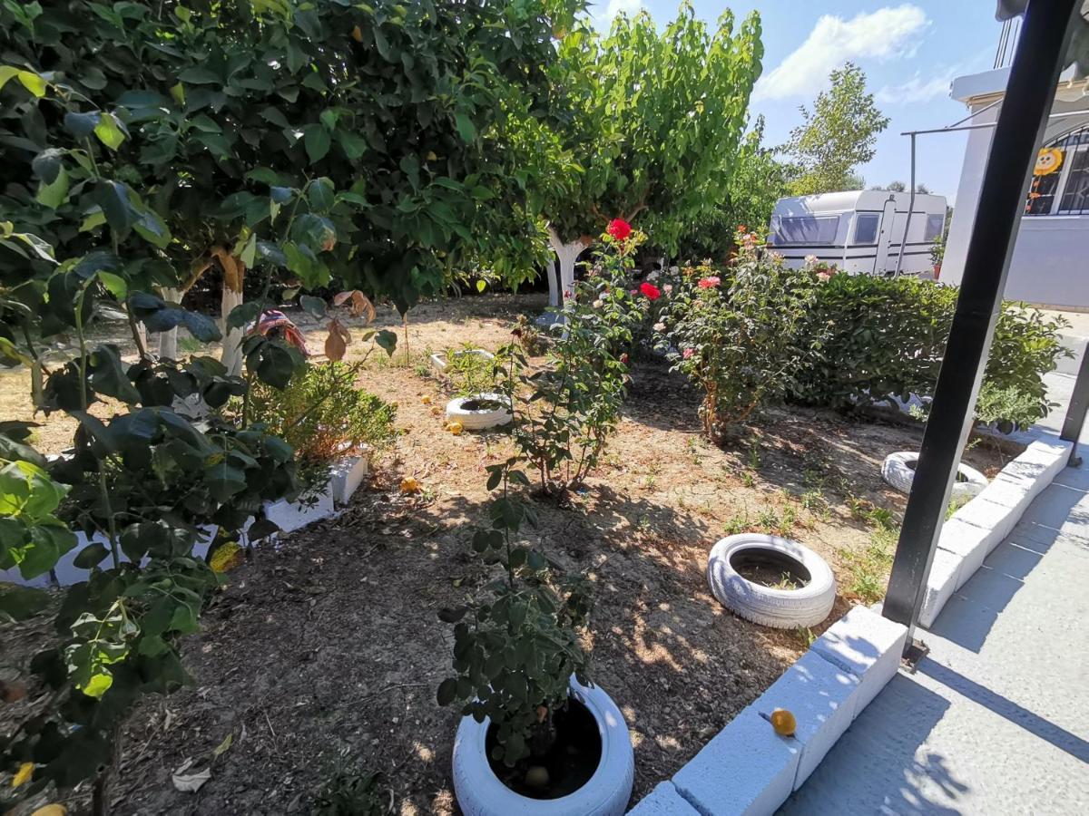 Hotel Green Garden Caravan Agrilia Zewnętrze zdjęcie